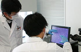 転籍・直接雇用になる為に心掛けたこと